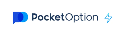 A Comprehensive Guide to the Pocket Option Platform 8