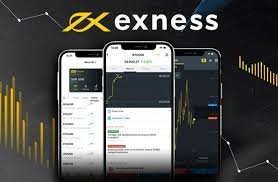 Comprehensive Guide to Exness Metatrader 4 Web Terminal