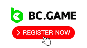 Discover the Future of Digital Services with BC App